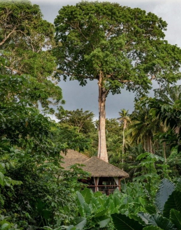 SAO TOME & PRINCIPE - 8